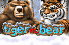 Tiger Vs Bear